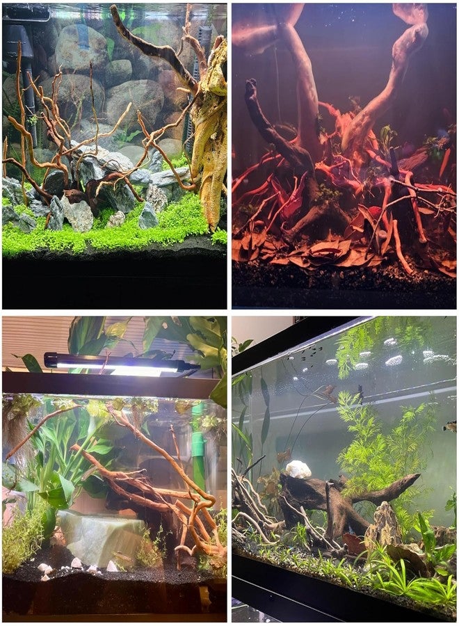Maalavya Natural Aquarium Drift Wood for Fish Tank, Aquascape & Terrarium Décor | Planted Tank Wood | 20-25 Inch | 300 gm - Image 3